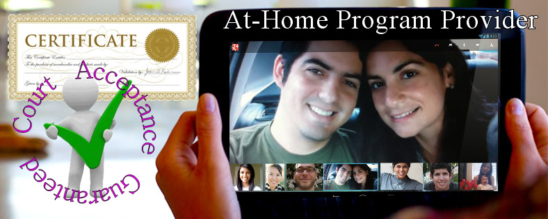 Court Ordered Classes Domestic Violence BIP